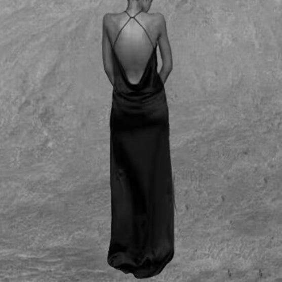 VIERU Backless Maxi Dress