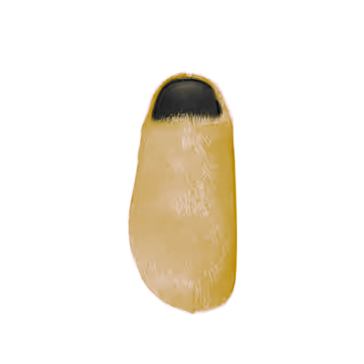 MASRI Vegan Fur Slippers Slides