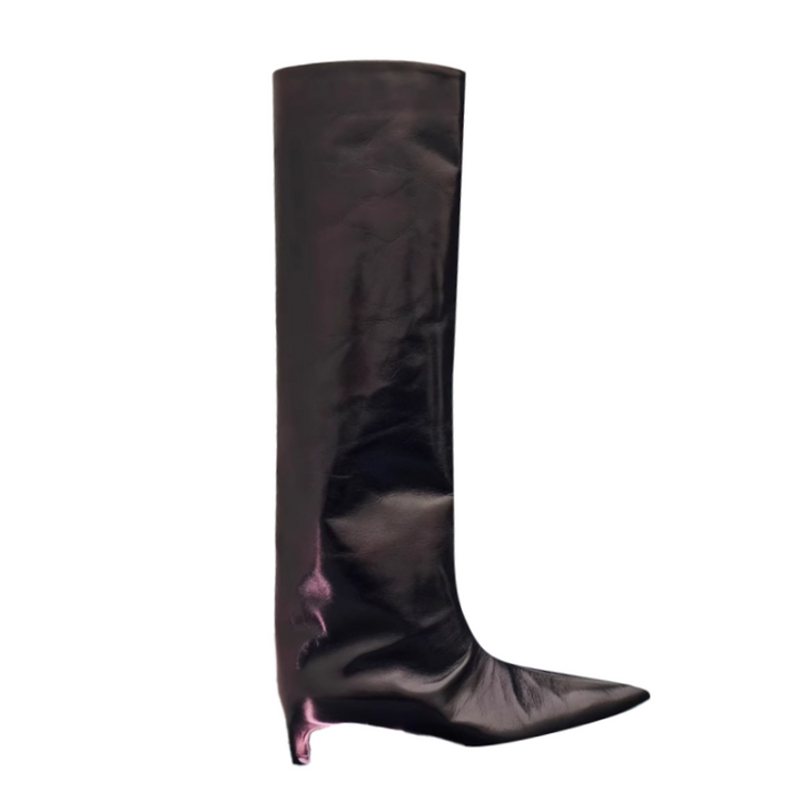 TOVFE Kitten Heel Knee High Boots