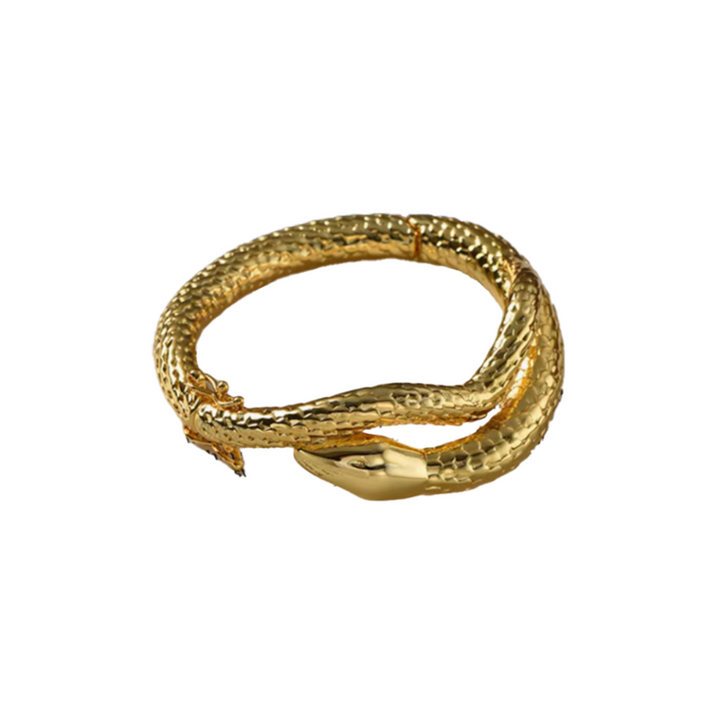 VATCI Snake Bracelet